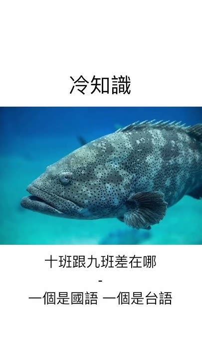 魚諧音梗